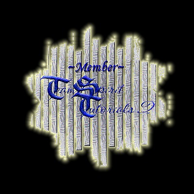 Go to Team Spirit Tutorials2